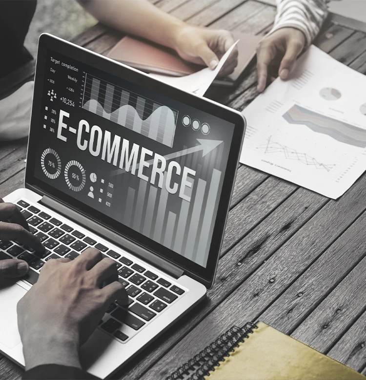 Comprehensive E-commerce Solutions